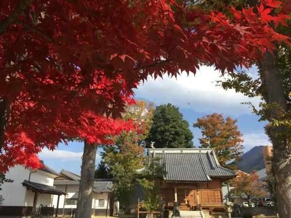 奥田神社