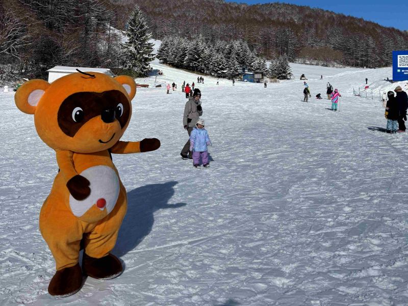 REWILD NINJA SNOW HIGHLAND