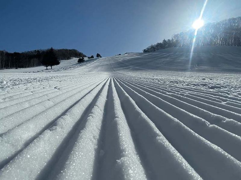 REWILD NINJA SNOW HIGHLAND