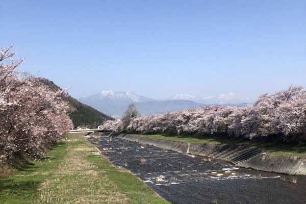 地元の人も知らない穴場を巡る　お花見＆ピクニック