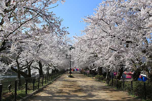 臥竜公園