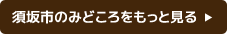 須坂市のみどころをもっと見る