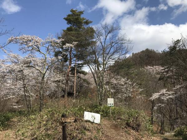 須坂温泉古城荘 一般社団法人信州須坂観光協会 歴史と自然の香る街 信州すざか