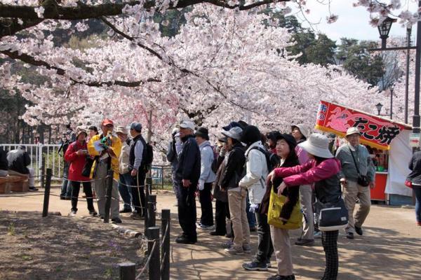 臥竜公園