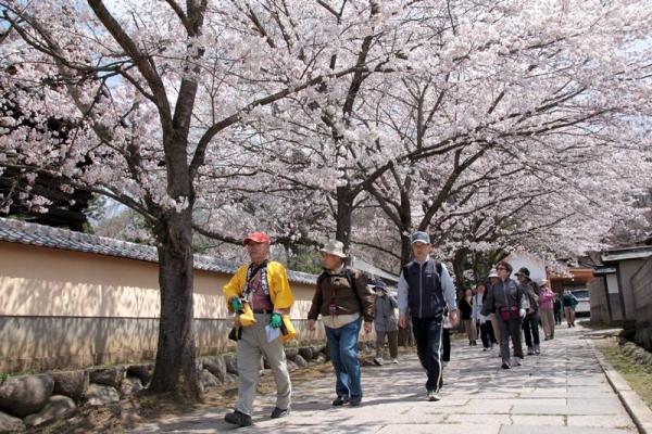 普願寺