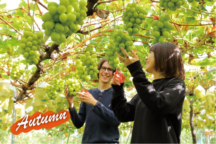 NAKAJO FRUIT FARM 中条フルーツ農場