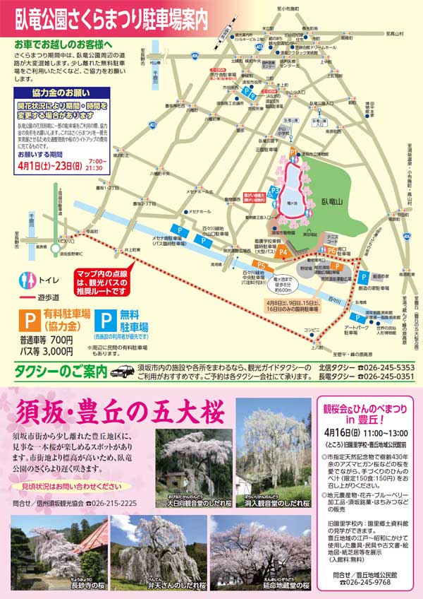 臥竜公園さくらまつり
