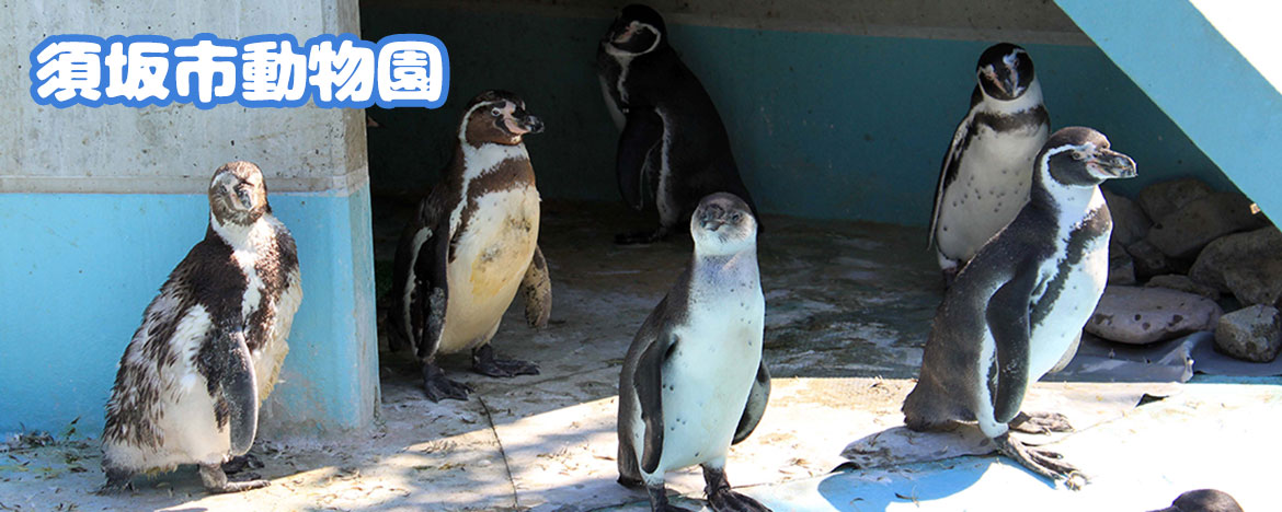 須坂市動物園