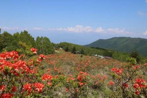 五味池破風高原自然園