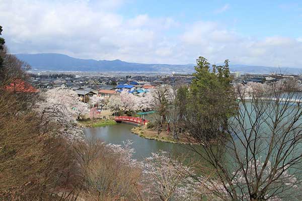 (52)臥竜公園の桜