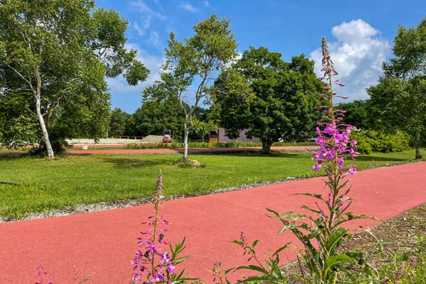 (31)クロカンコース