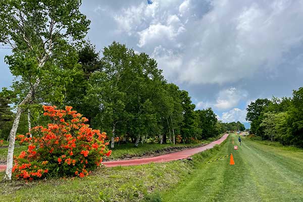 (35)クロカンコース