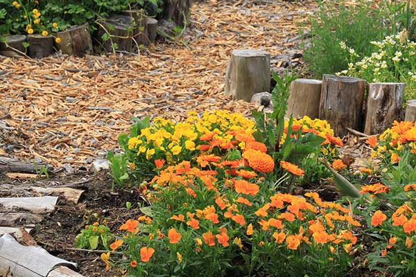 (10)オープンガーデン