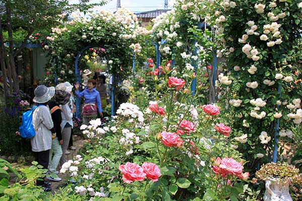 (11)オープンガーデン