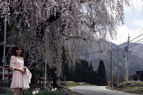 (20)亀倉神社の桜