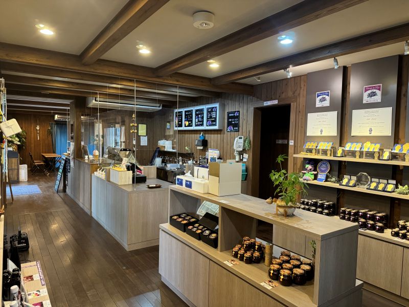 ブルーベリー農園　森の畑