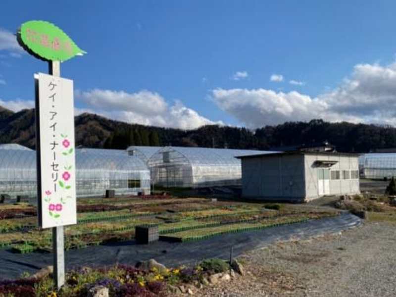 ケイ・アイ・ナーセリー