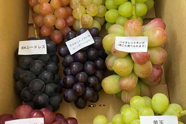 マルロク﨤町遊覧園