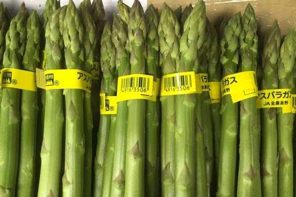 ブルブルファーム20