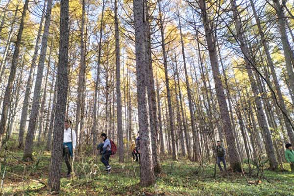 古道大笹街道ガイド付トレッキング