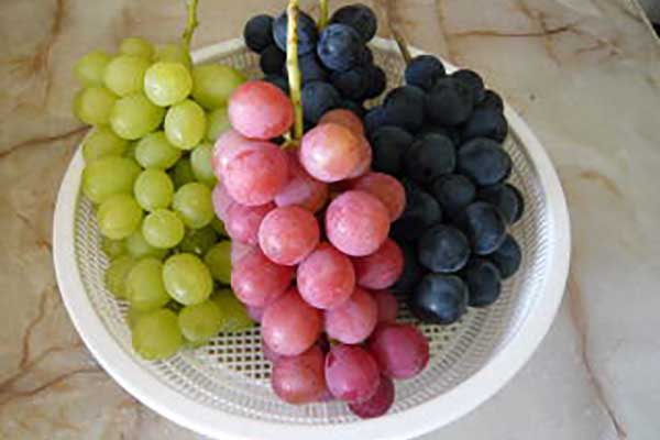 やまとフルーツ農園