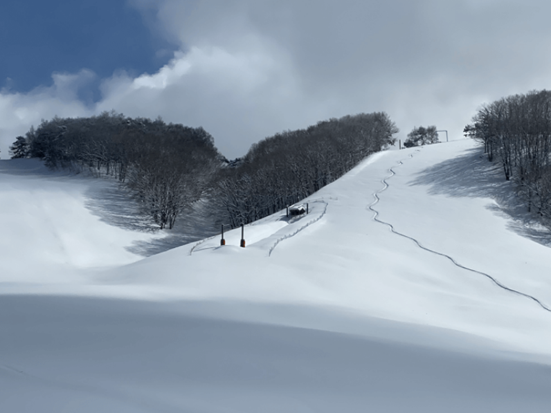 REWILD NINJA SNOW HIGHLAND