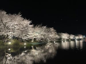 夜桜ライトアップ終了2026
