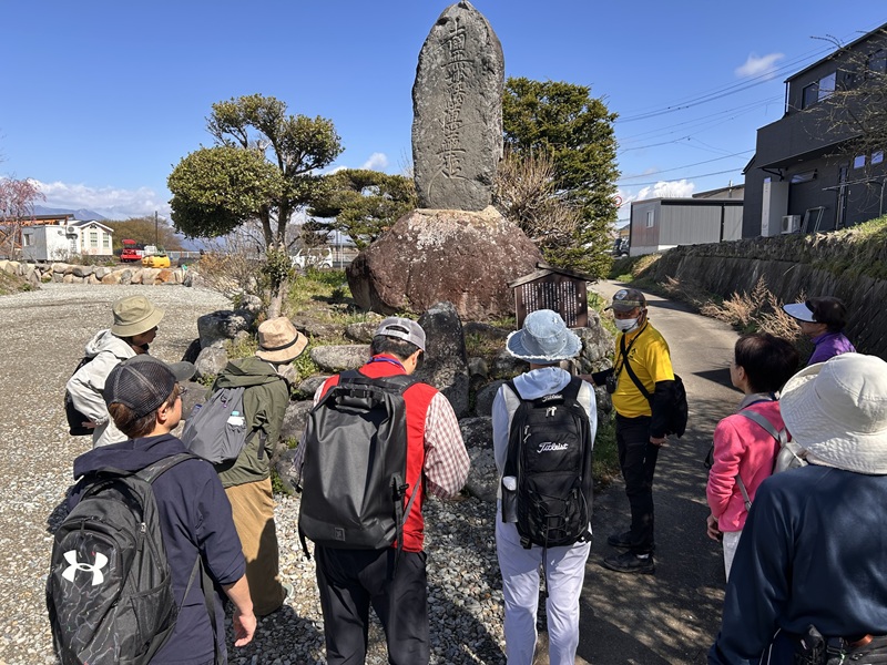 大笹街道_花見ウォーク2