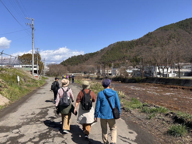 大笹街道_花見ウォーク7