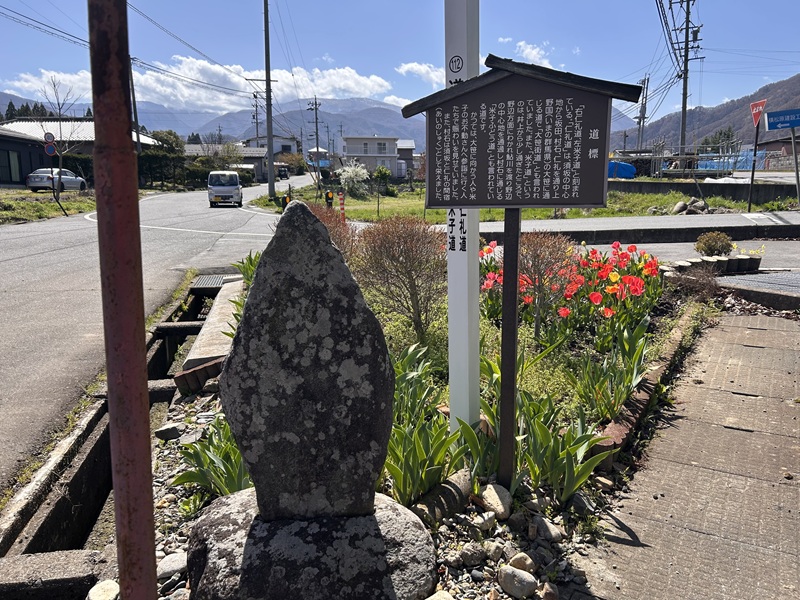 大笹街道_花見ウォーク5