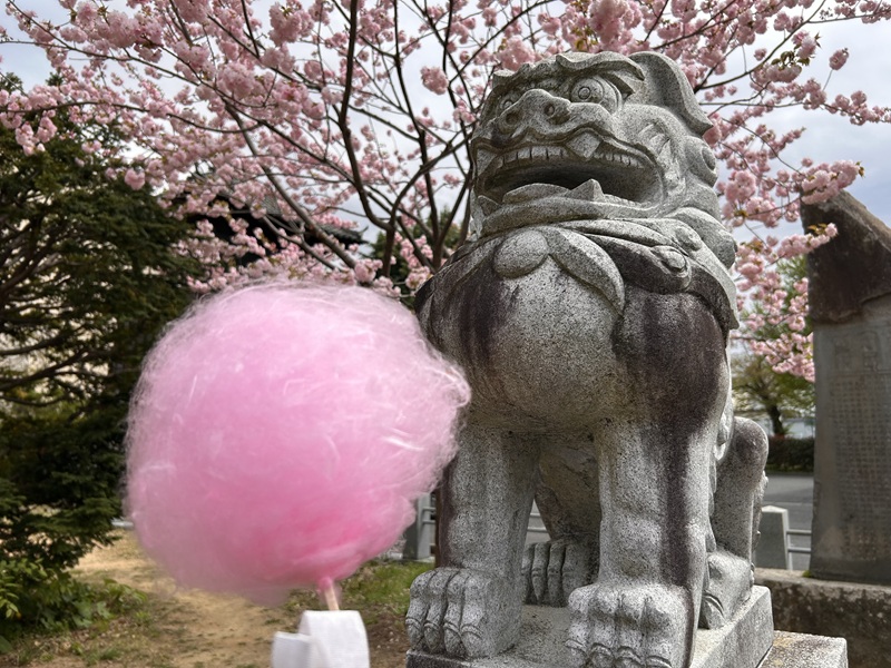 2604_花見サイクリング28